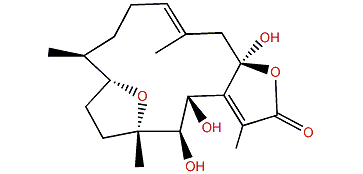 Pachyclavulariolide L